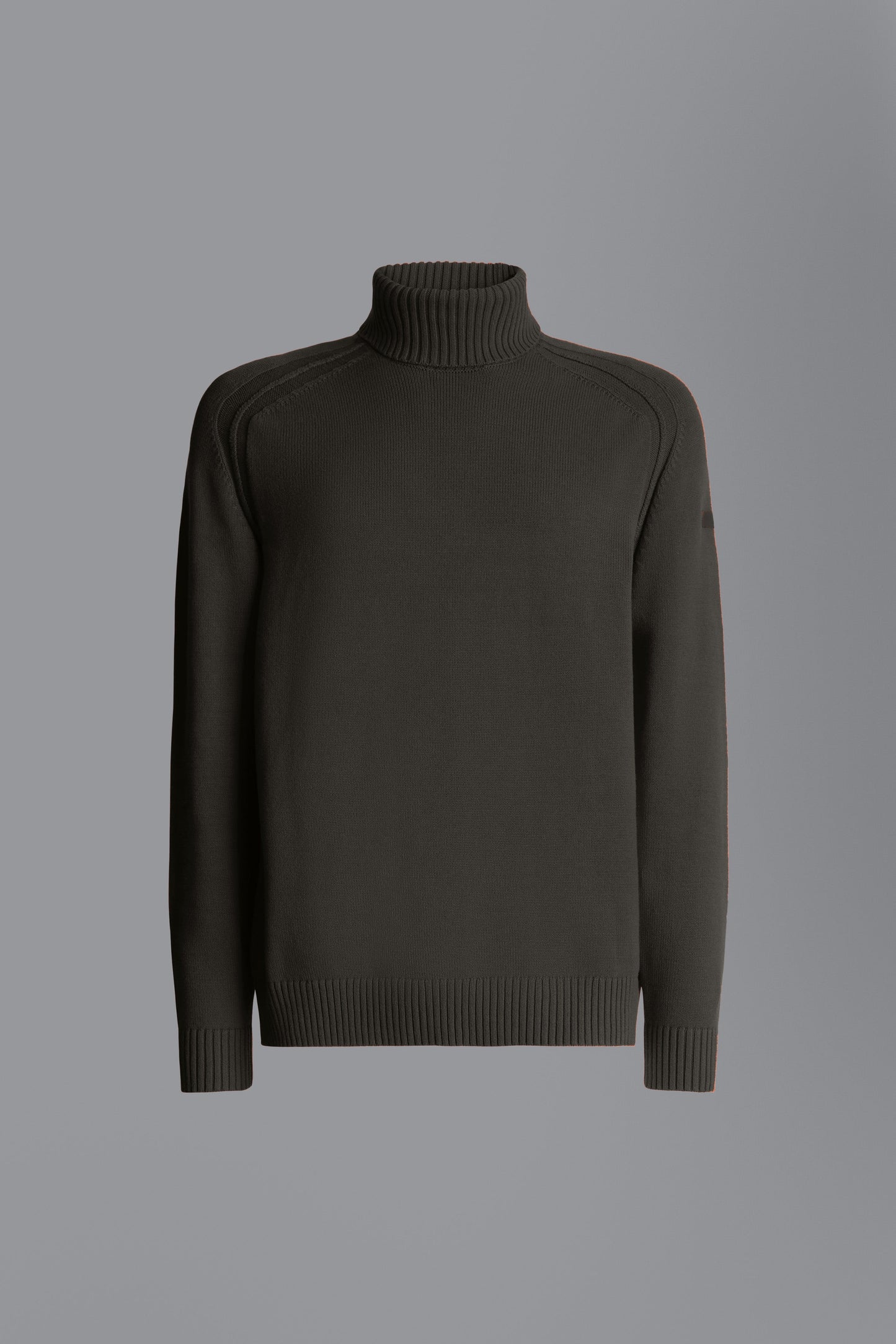 Knit Cotton Plain Turtleneck