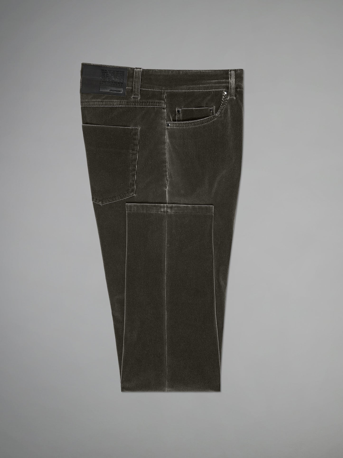Techno Velvet 1000 5T Pant