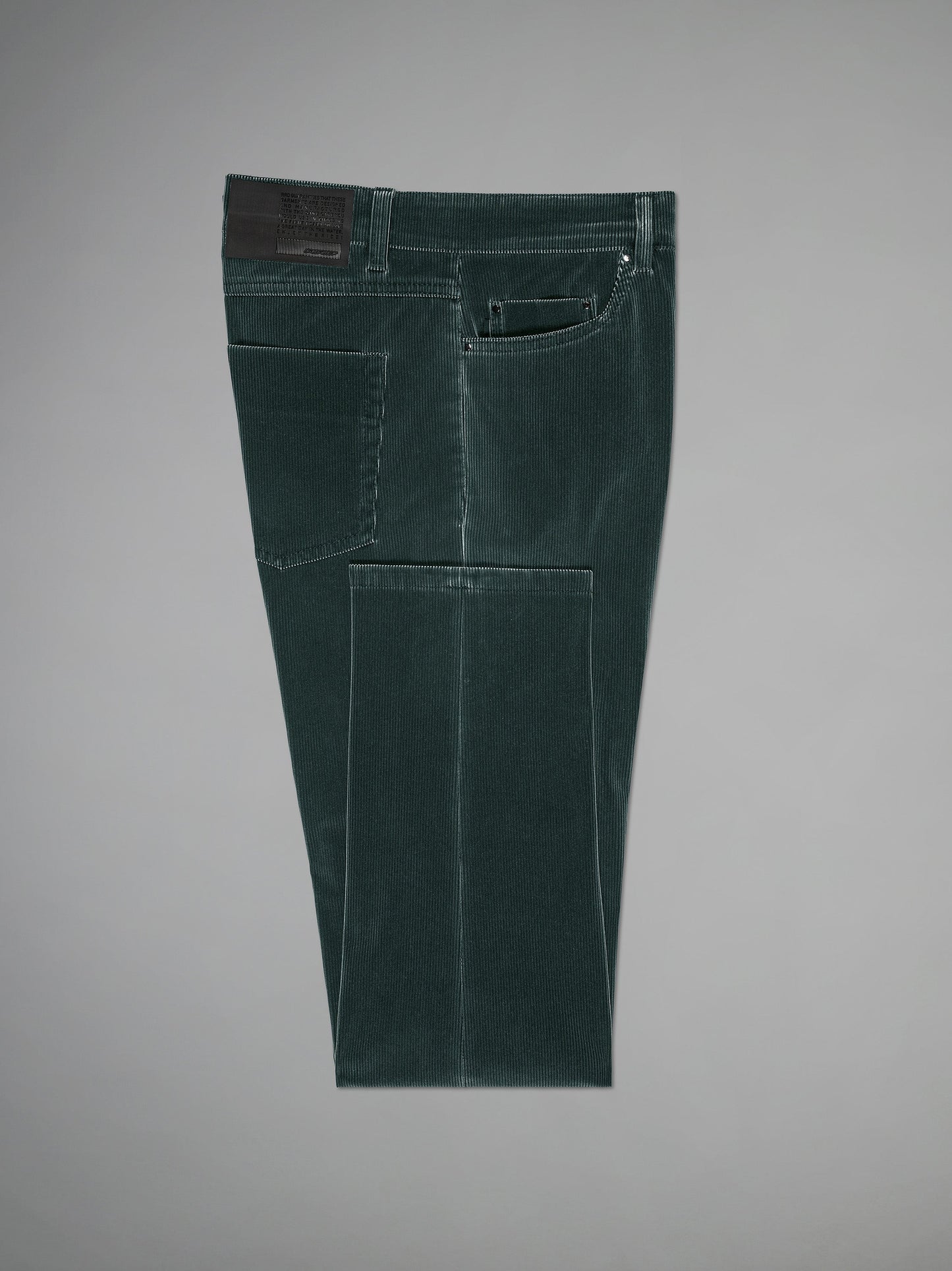 Techno Velvet 1000 5T Pant