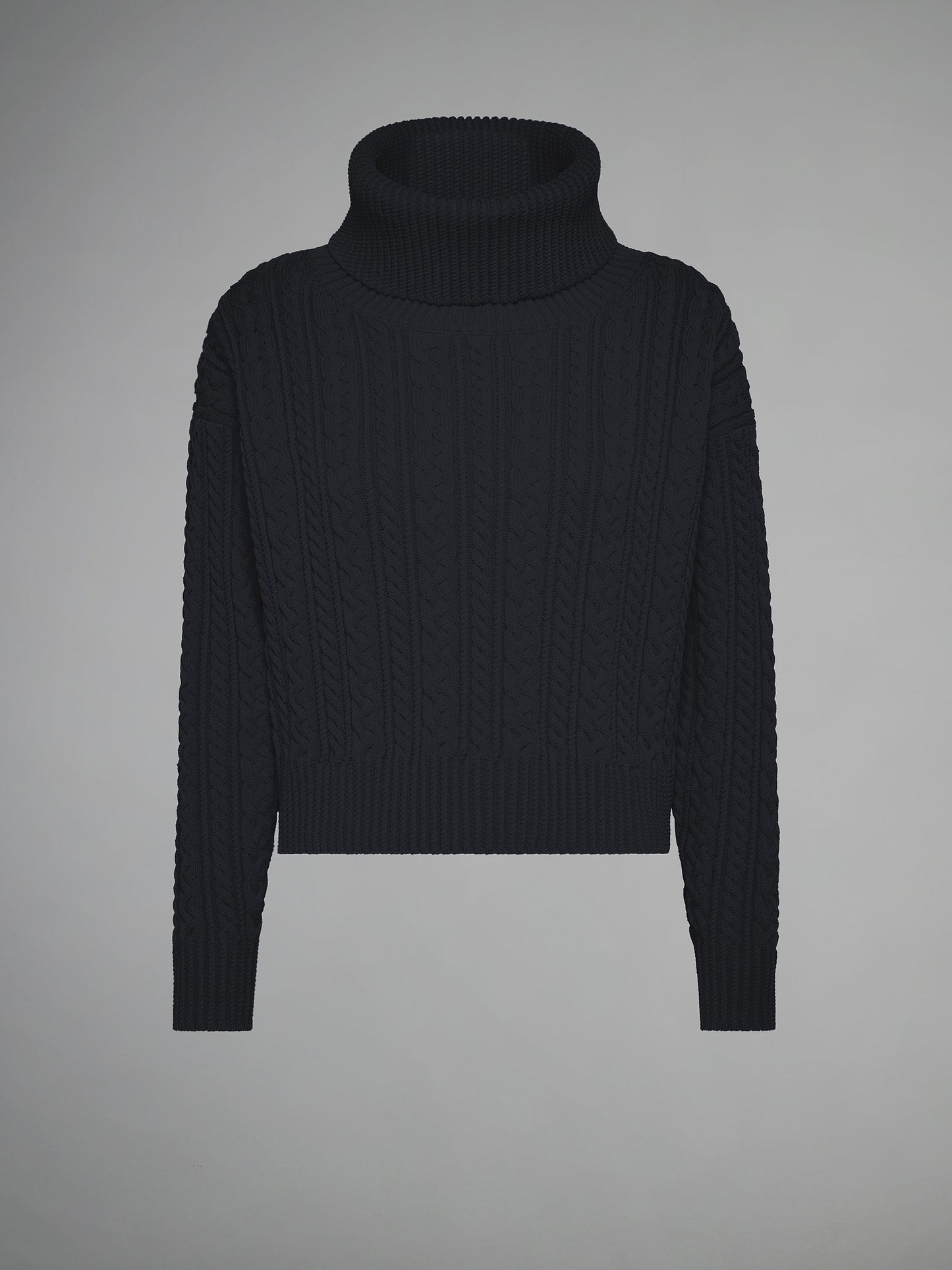 Amos Fish Turtleneck Wom Knit